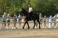 Open Riding_wtc-6
