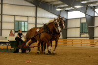Draft Horse Farm Team Pull