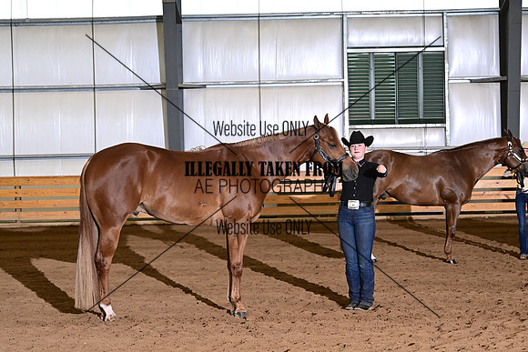 AJB_3689