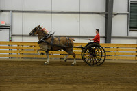 Ladies Cart_Belgians-17