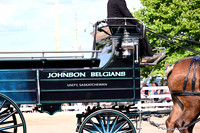 Johnson Belgians