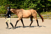 AJB_0382