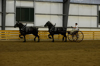 Tandem-14