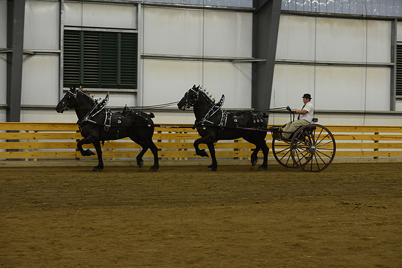 Tandem-14