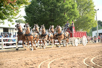 AJB_0479