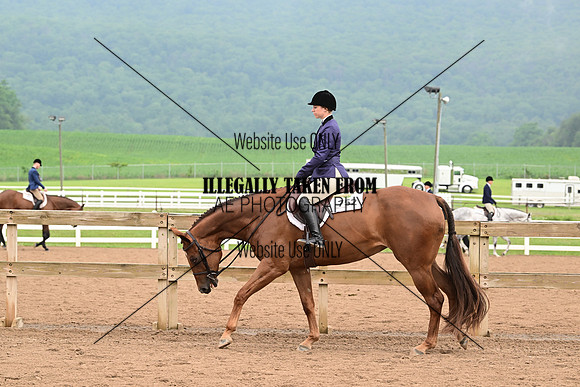 AJB_6204