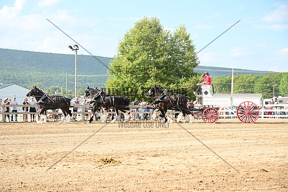 AJB_0430