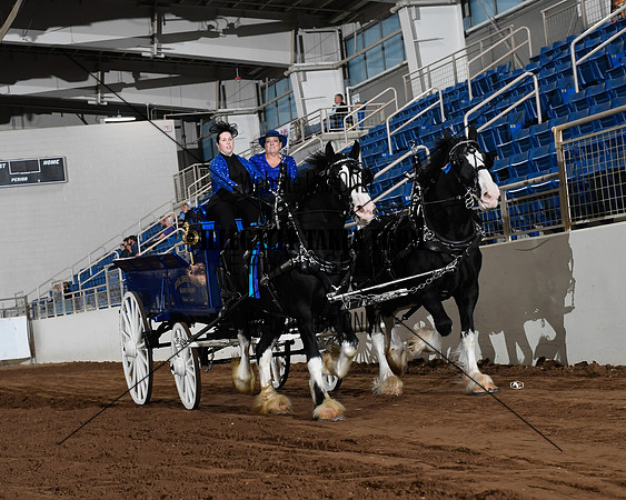 Shires_5064