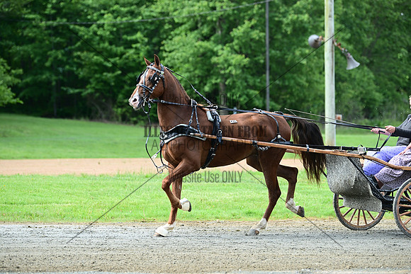 ASH_5419