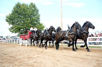 AJB_0554