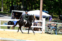 AJB_0797