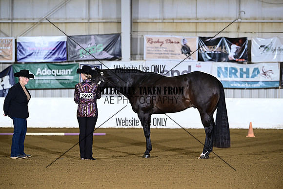 ASH_3172
