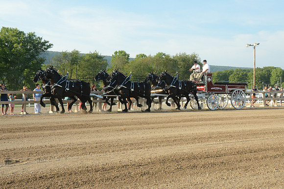 Six Horse Hitch-10