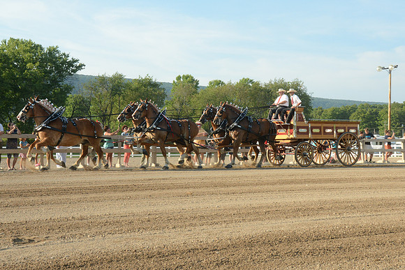 Six Horse Hitch-9