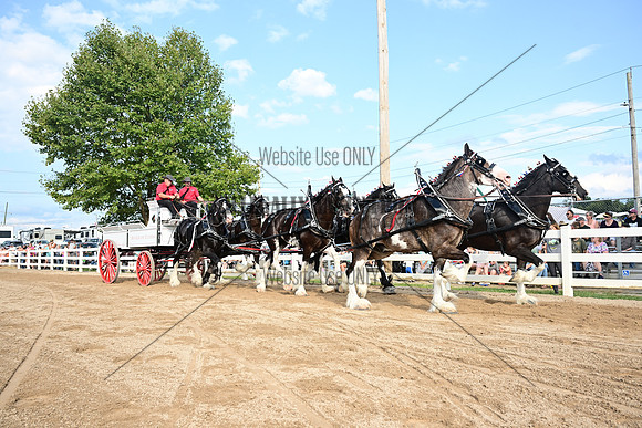 AJB_0454