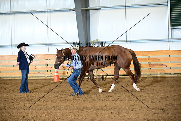 AJB_9494