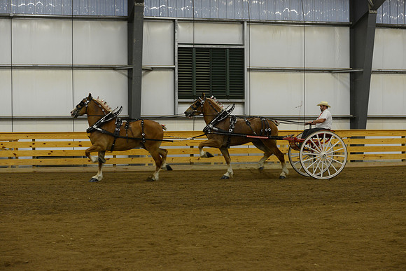 Tandem-11