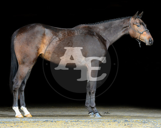Indy_PSU2_4480