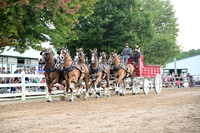 AJB_0587