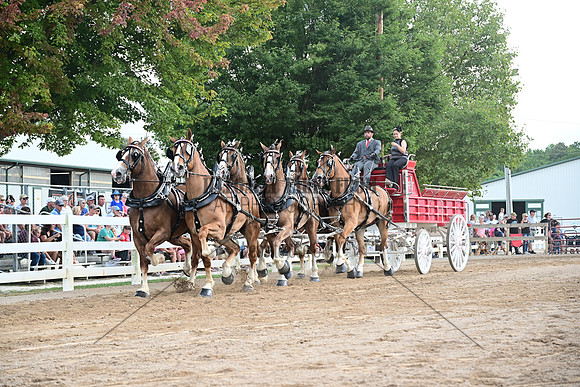 AJB_0587