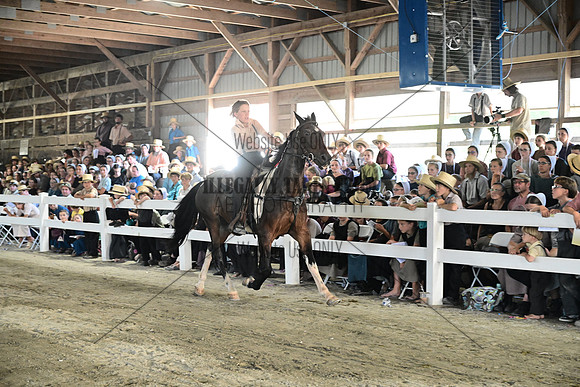 AJB_0263