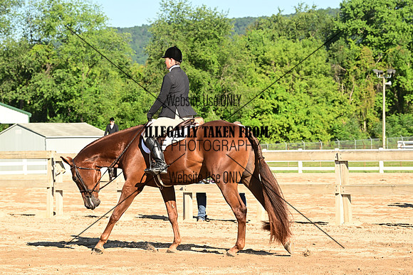 AJB_9972