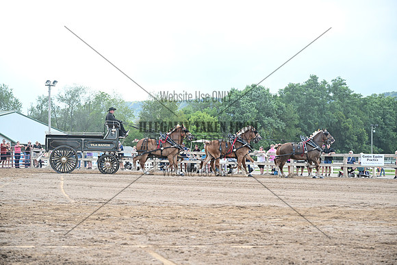 AJB_0614