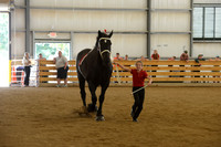 Jr. Youth Showmanship-15