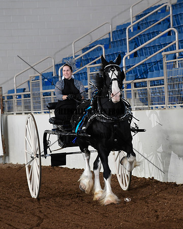 shires_5849