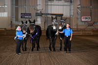 ASH_0031