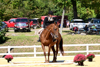 AJB_2291