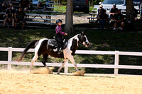 AJB_2694