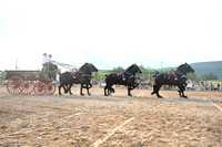 AJB_0546