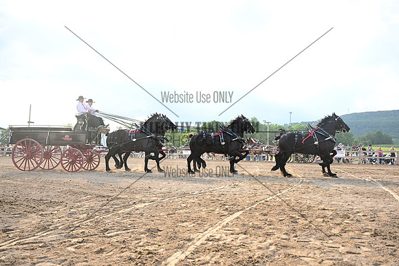 AJB_0546