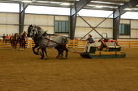 Farm Team-20