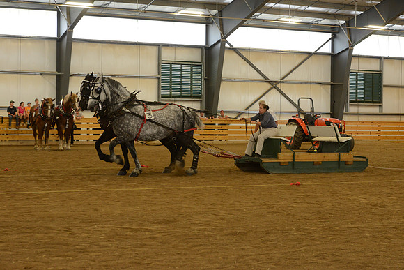 Farm Team-20