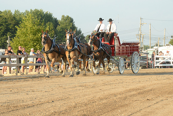 Four Horse Hitch_Amateur_youth-3