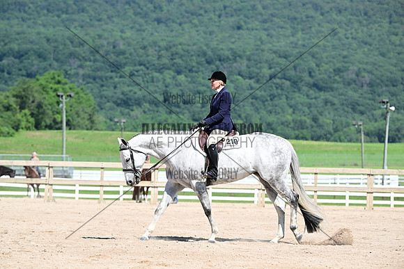AJB_7018
