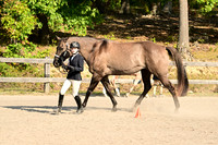 AJB_0243