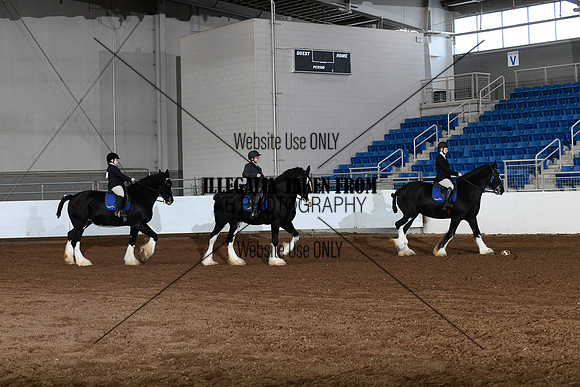 shires_6338