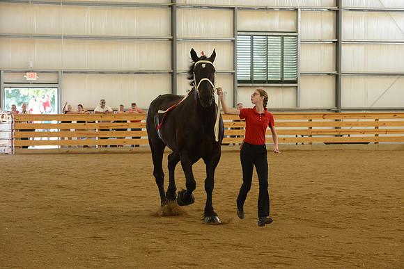 Sr. Youth Showmanship-4