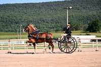 AJB_4538
