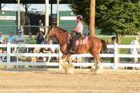 Open Riding_wtc-2