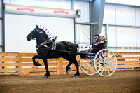 AJB_0247