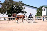 AJB_4702