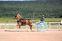 AJB_4537