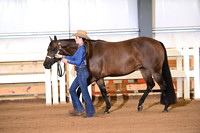 10. Youth Performance Mares