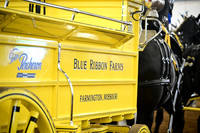 Blue Ribbon Days
