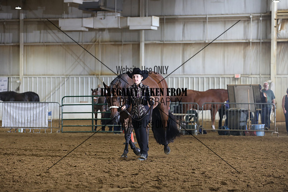 IMG_9886