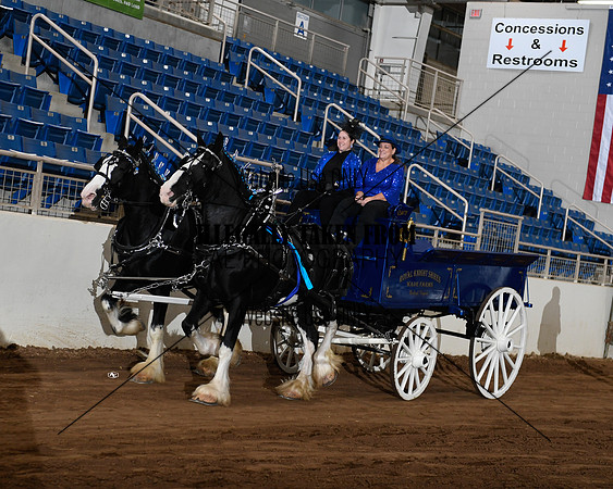 Shires_5255